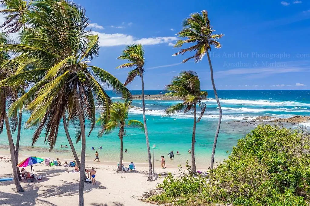 Spacious Loft-Sea View By Stay Here Pr San Juan Hotel